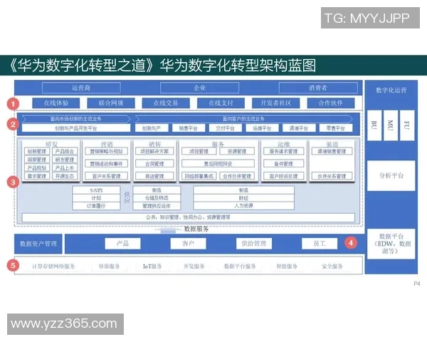 互联网时代信息流通变革与数字化转型对社会各领域深远影响分析